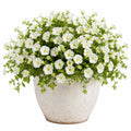 Pianta artificiale in vaso 45 cm fiori bianchi e foglie verdi - decorazione da interno