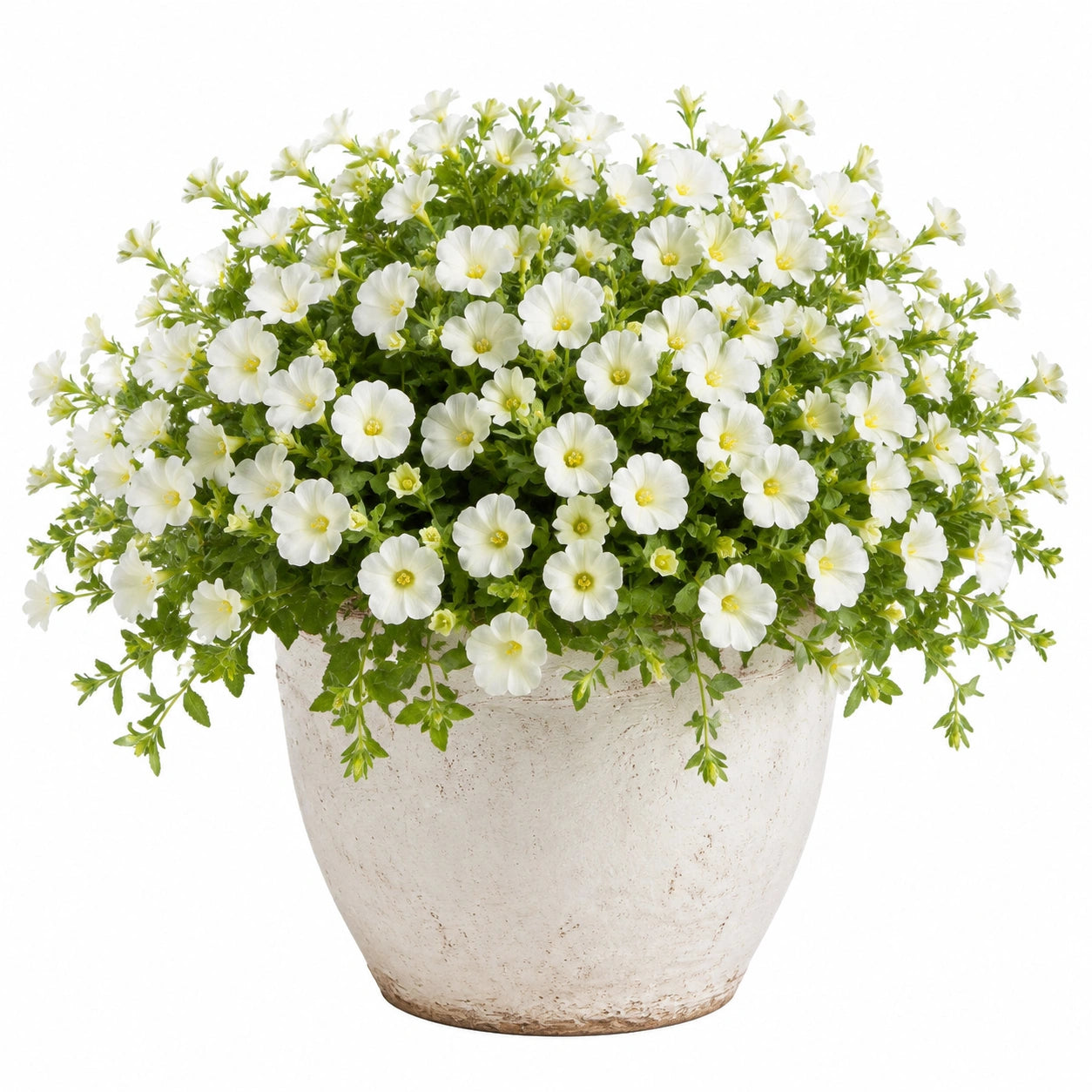 Pianta artificiale in vaso 45 cm fiori bianchi e foglie verdi - decorazione da interno