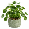 Pianta verde artificiale in vaso 45 cm - foglie tonde verdi vaso in ceramica stile moderno