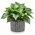 Pianta verde artificiale 45 cm in plastica verde con vaso decorativo per interni