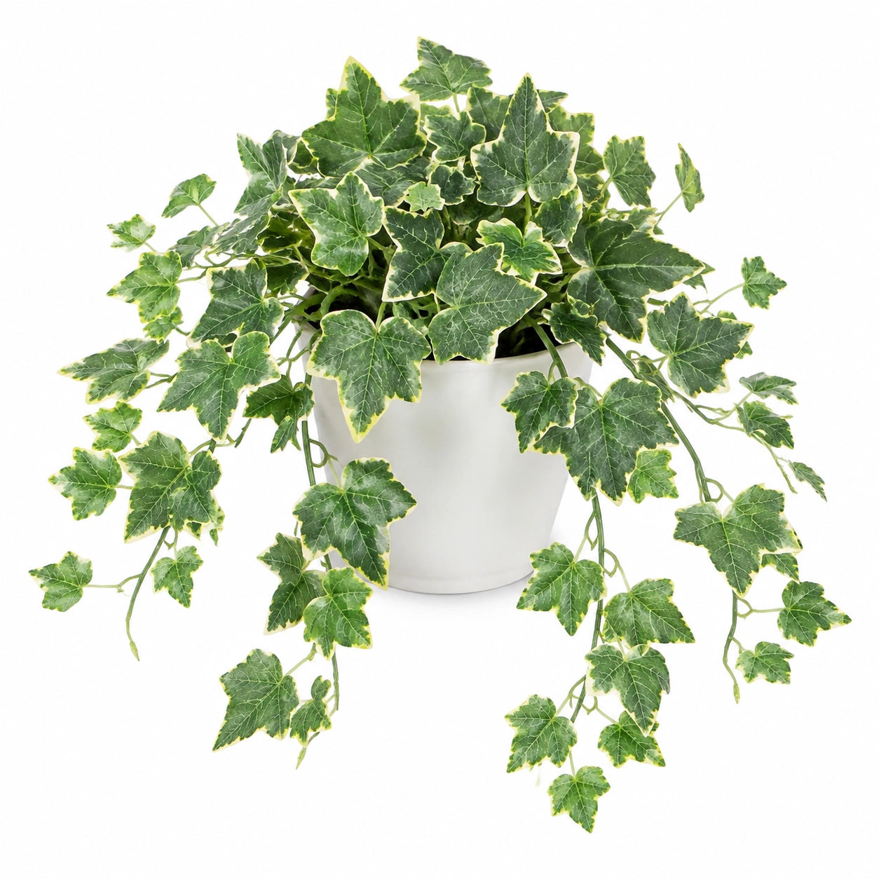 Pianta artificiale di edera 45 cm verde variegato in plastica con vaso bianco decorativo